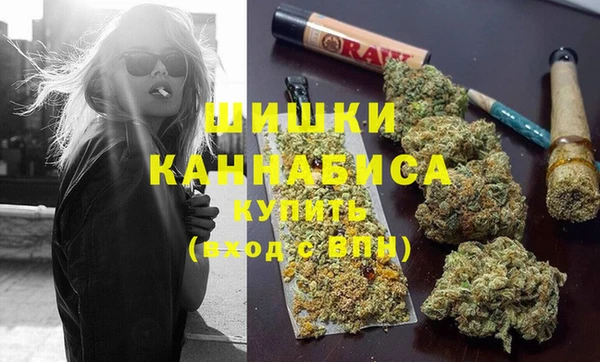 шишки Баксан