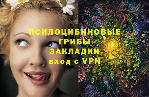 стафф Балахна