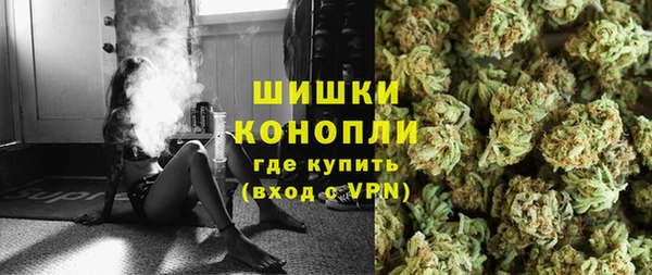 шишки Баксан