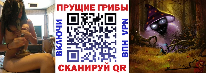 где найти наркотики  Удачный  МЕГА сайт  Псилоцибиновые грибы MAGIC MUSHROOMS 